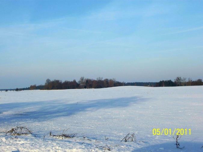 Bild%20B