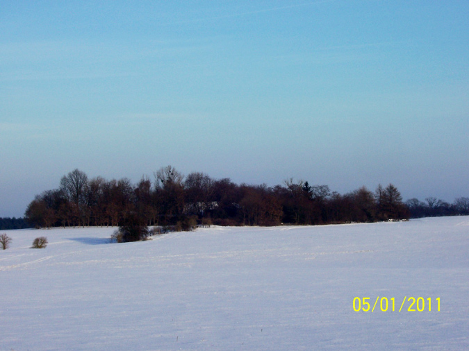 Bild%20C