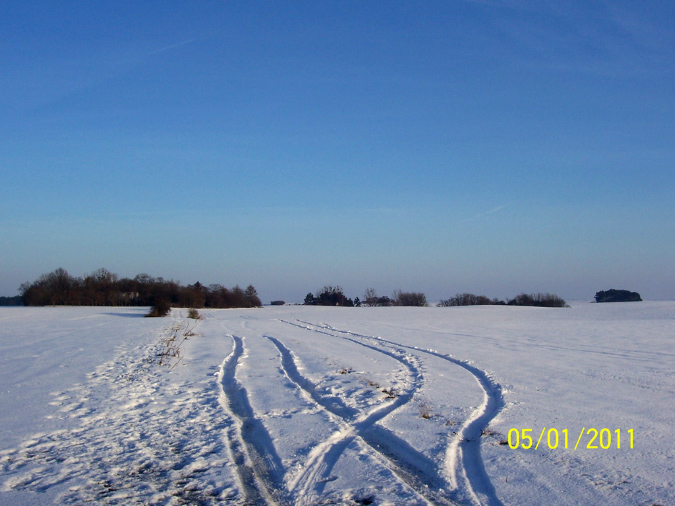 Bild%20F