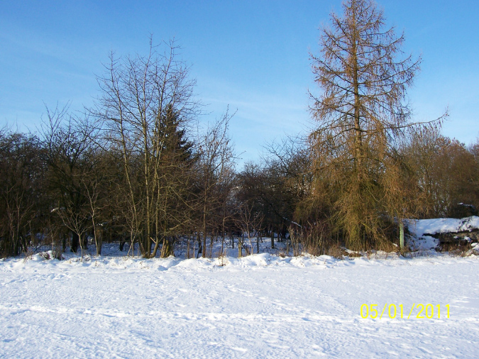 Bild%20G