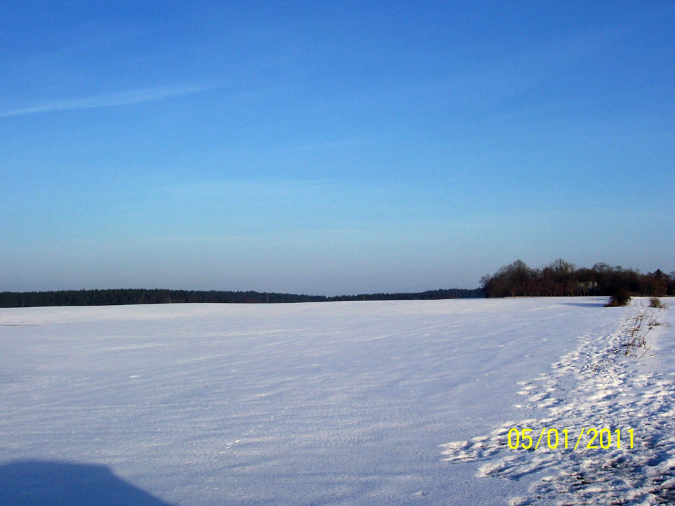 Bild%20S