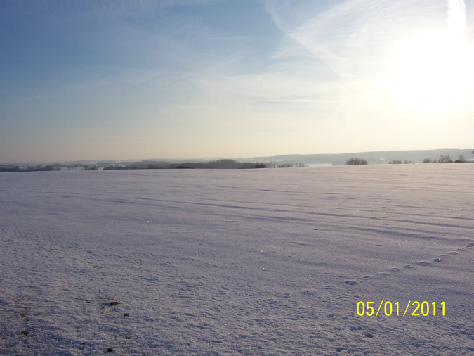 Bild%20U