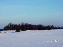 Bild%20C