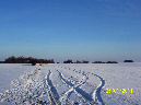 Bild%20F